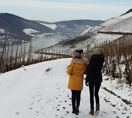 Moselstern Brixiade &triton Cochem