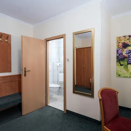 Moselstern Brixiade &triton Hotel