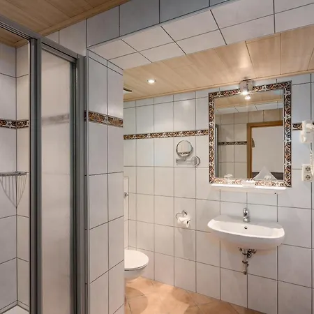 Hotel Moselstern Brixiade &triton