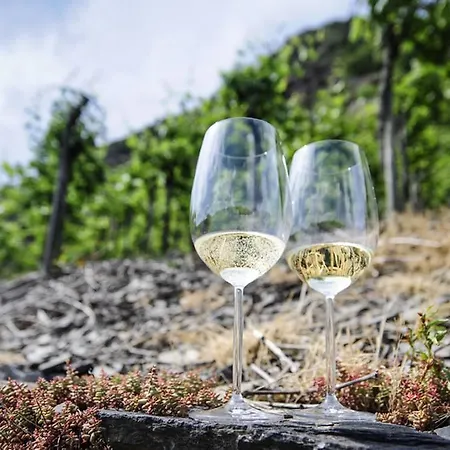 Moselstern Brixiade &triton Hotel 4*