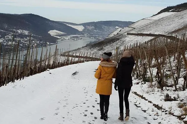 Moselstern Brixiade &triton קוכם