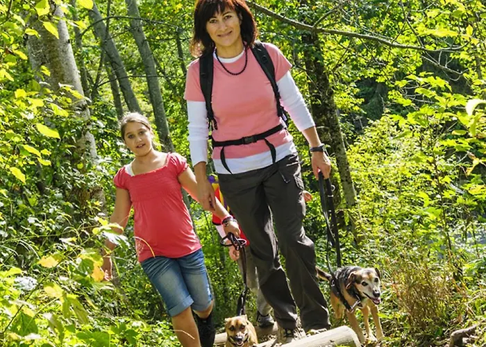 Moselstern Brixiade &triton 4*