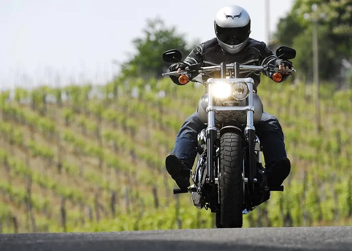 Moselstern Brixiade &triton Hotel 4*